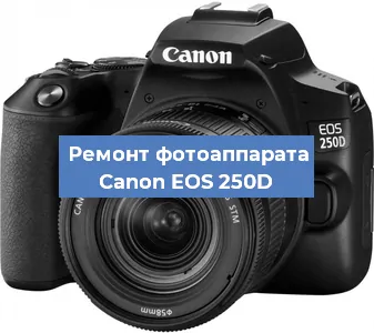Прошивка фотоаппарата Canon EOS 250D в Москве